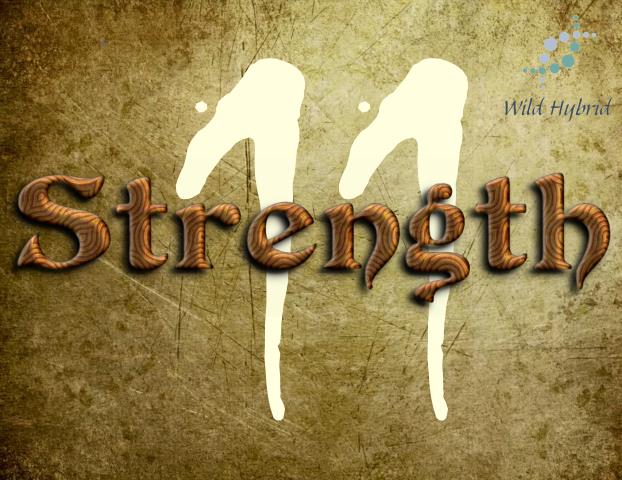 11 - Strength 5ml - Tobacco absolute, nag champa, lemon ironbark, jasmine, ginger, black pepper, sugandha kokila, black agar, cabernet, honey, peony, clove and deer musk accord.