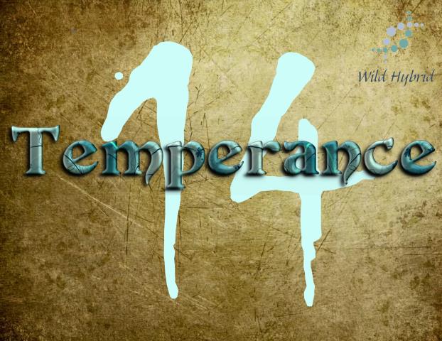 14 - Temperance 5ml - Cool spring water, white lotus, blueberry, cananga, bergamot, lavender, blue musk and citronella.