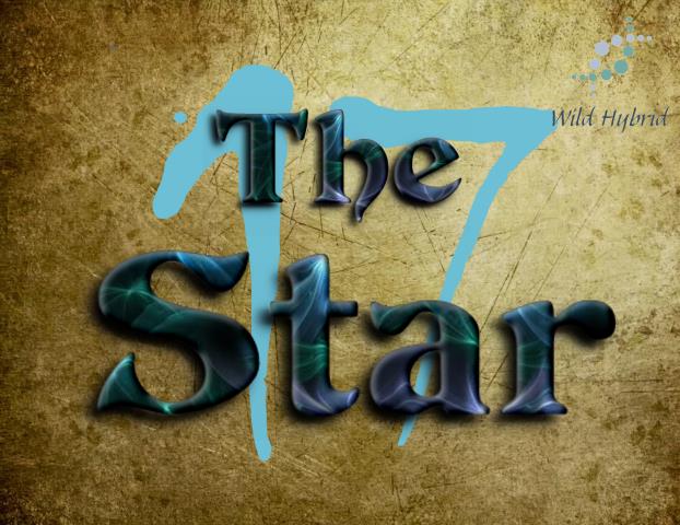 17 - The Star 5ml - Bourbon vanilla, coconut, gardenia, Egyptian musk, lime, pineapple, oakmoss, benzoin and white musk.