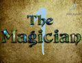 1 - The Magician 5ml Cedarwood, amber, oakmoss, bamboo, soil, fern, green mandarin, genet, clove, ginger, water, cucumber, civet