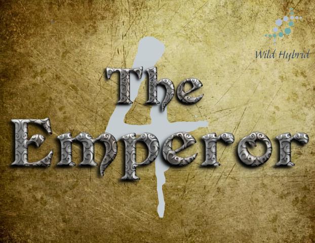 4 - The Emperor 5ml - Bay rum, dry grass, fine leather, teak, sandalwood, sage, dragon's blood, lime, anise, geranium, cypress, hazelnut and stone.