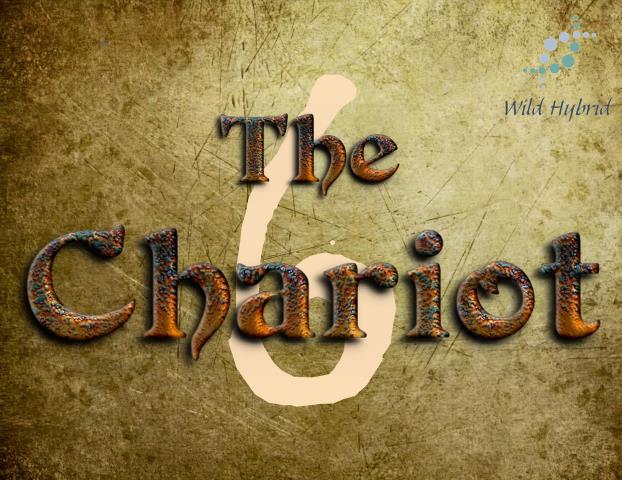 7 - The Chariot 5ml - Patchouli, cassia, geranium, Indian musk, salty air, glossy blackberries and Mysore sandalwood.