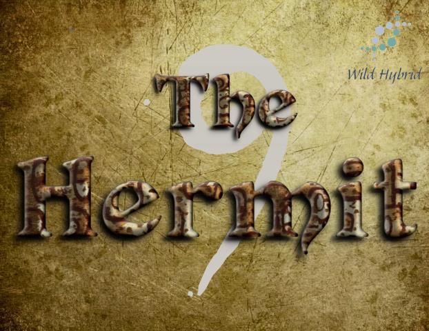 9 - The Hermit 5ml - A silver-grey musk.