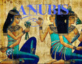 Anubis 5ml - Brittle dry woods, Egyptian musk, vetiver, cassia, bay leaf and dry dust.
