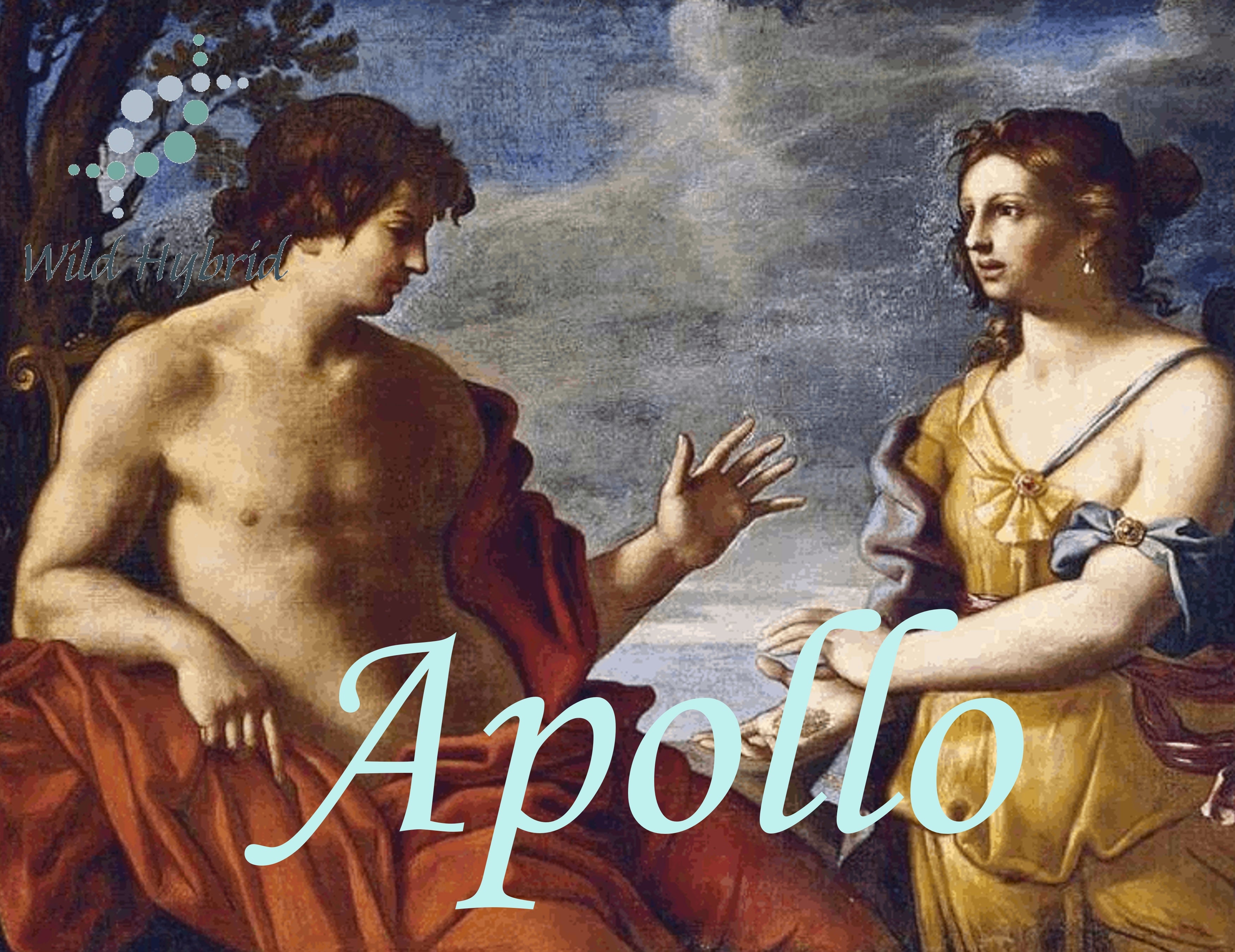 Apollo 5ml - Vanilla musk, vanilla, cardamom and frankincense.