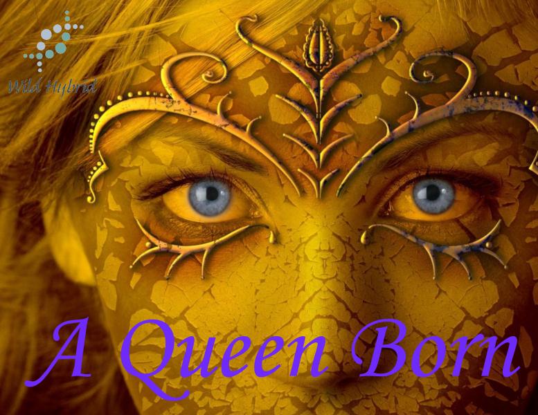 A Queen Born 5ml - Yellow tea rose, sugared vanilla, ginger, amber and a fine, glowing musk