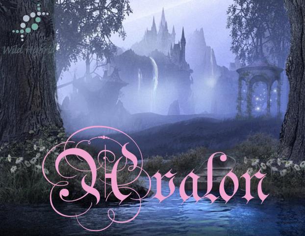 Avalon 5ml - Honey, sweet clover, heliotrope, pink lotus, mimosa, peach, Spanish moss and fresh water.