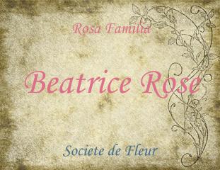 Beatrice Rose 5ml - Pink tea rose, pink musk, white musk, green tea and pale green leaves.