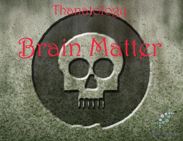 Brain Matter 5ml - Vanilla syrup and white peach flesh.
