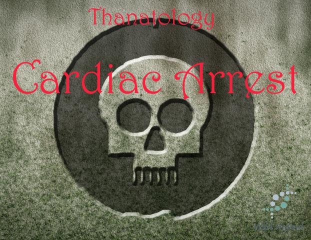 Cardiac Arrest 5ml - Four vanillas, white and brown sugars, butterscotch, caramel, honey, coconut, dark roasted coffee, red wine and pipe tobacco.