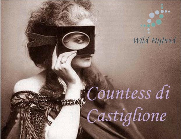 Countess di Castiglione 5ml - Spiced musk, sugar, honey, honeysuckle, ginger, violet and a little spilled blood-red wine.
