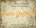 Daria Daffodil 5ml - Daffodil, pink pepper, nectar, caramel and ambergris accord.