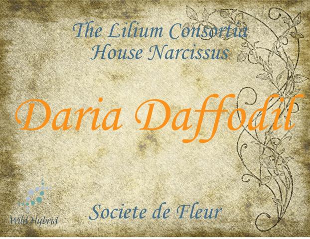 Daria Daffodil 5ml - Daffodil, pink pepper, nectar, caramel and ambergris accord.