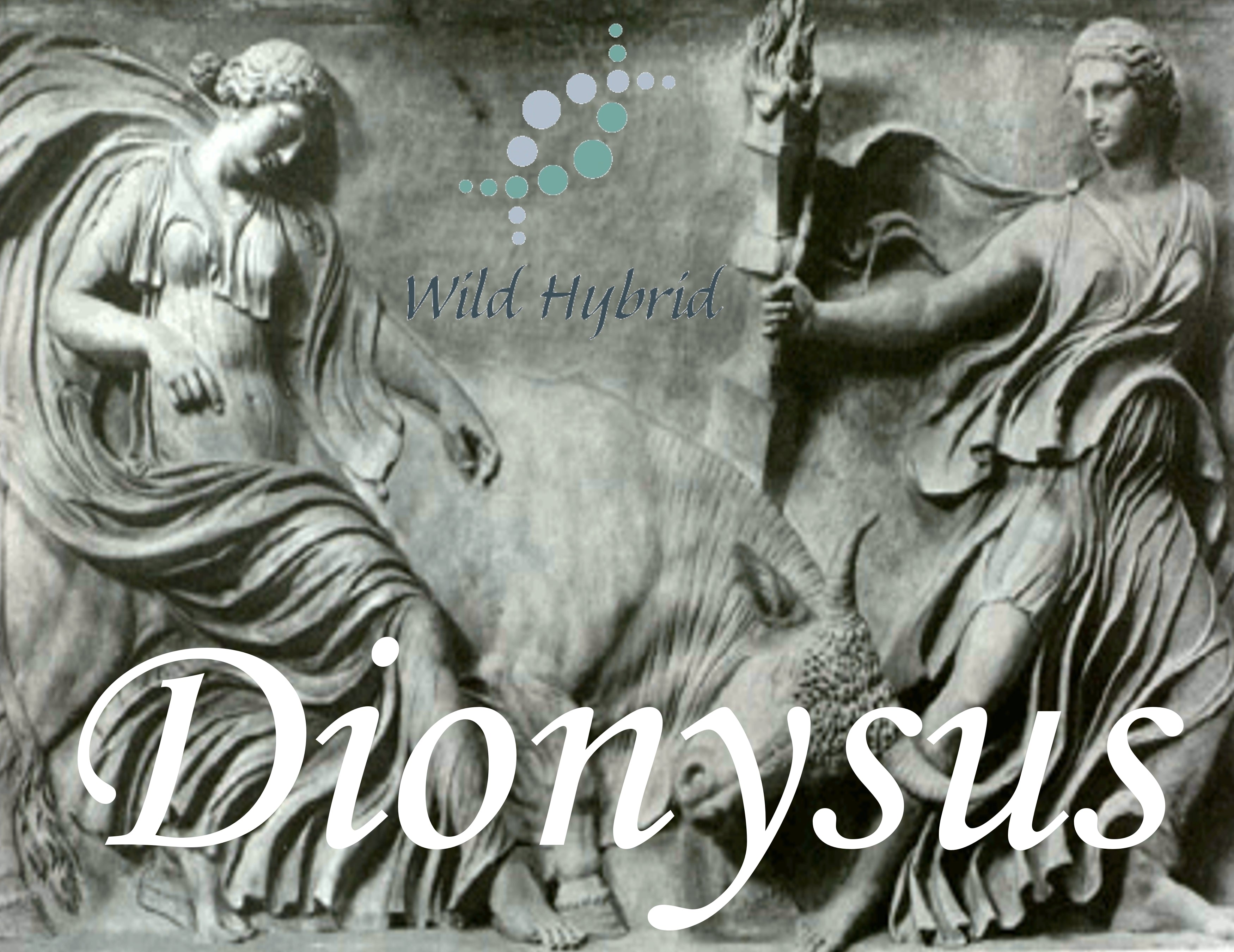 Dionysus 5ml - Pineapple, jasmine, lilac, tobacco absolute, ginger, sugared vanilla and ethereal musk.