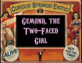Gem(ini), the Two-Faced Girl 5ml - Two roses, two mints, two lilacs, two sandalwoods, two honeys, two cedarwoods and two vanillas.