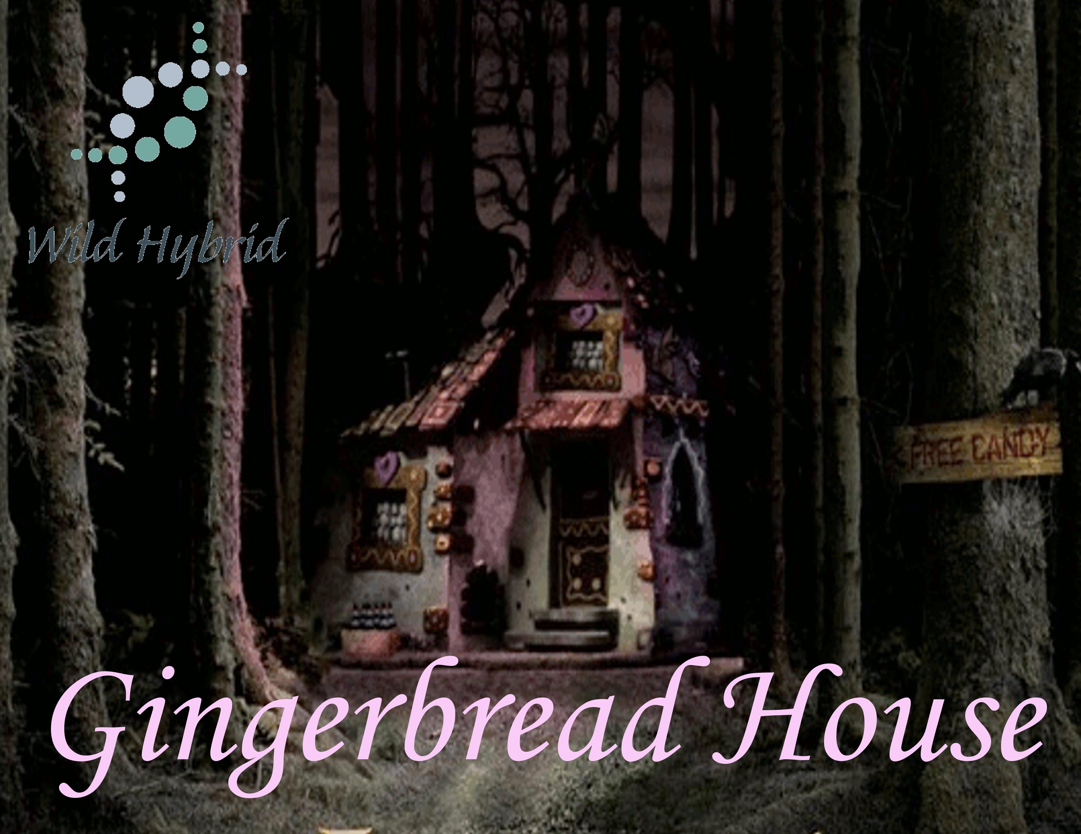 Gingerbread House 5ml - Gingerbread, cinnamon, sugar, vanilla, cinnamon pinwheels and lemon peel.