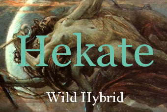 Hekate 5ml - Dark patchouli, vetiver, frankincense and myrrh, wormwood, copaiba balsam and red rose.