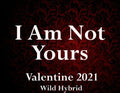 I Am Not Yours 5ml Lilac, pear, balsam fir, pinon, oakmoss, Virginian cedarwood and benzoin