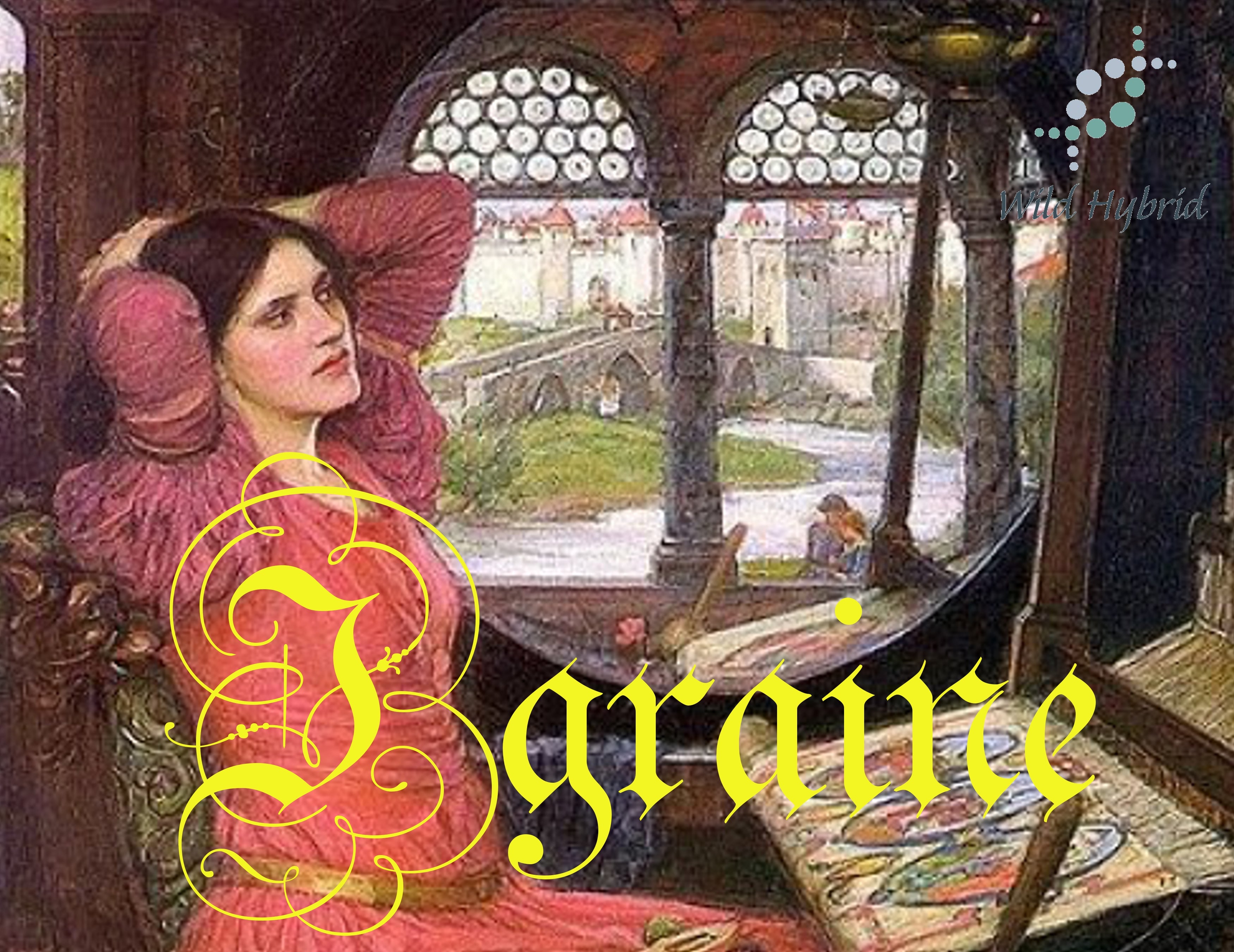Igraine 5ml - Sweet clover, narcissus, szechuan pepper, lemon ironbark, ginger, amber and honey.