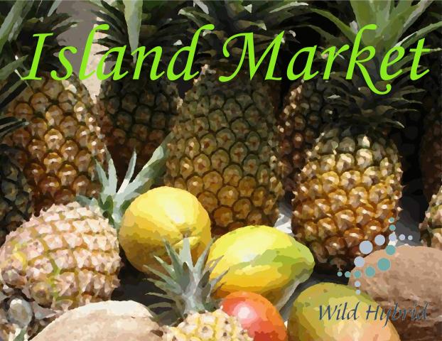 Island Market 5ml - Tropical fruit, coconut, a gentle ocean breeze and frangipani.