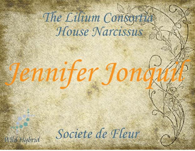 Jennifer Jonquil 5ml - Daffodil, glaucous greenery, pale patchouli and balsam of Peru.