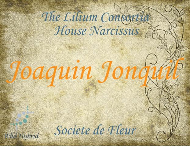 Joaquin Jonquil 5ml - Whisky, daffodil and leather.