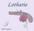 Lothario 5ml - Night-blooming flowers, campfire smoke and leather.