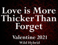 Love is More Thicker Than Forget 5ml An ocean breeze, myrrh, rose de mai, Egyptian amber, rhododendron leaf and iso e super