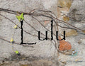 Lulu 5ml - Mandarin, pomegranate, oakmoss, white musk, honeysuckle, sugandha kokila, green tea and honeyed rose petals.