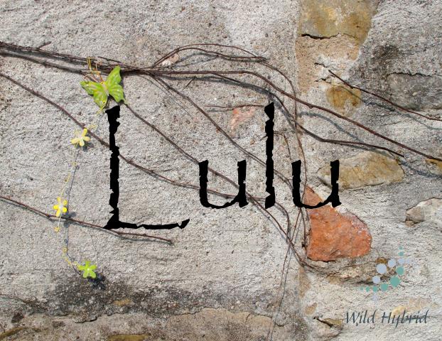 Lulu 5ml - Mandarin, pomegranate, oakmoss, white musk, honeysuckle, sugandha kokila, green tea and honeyed rose petals.
