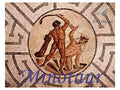Minotaur 5ml - Seven musks, tonka and bay rum.