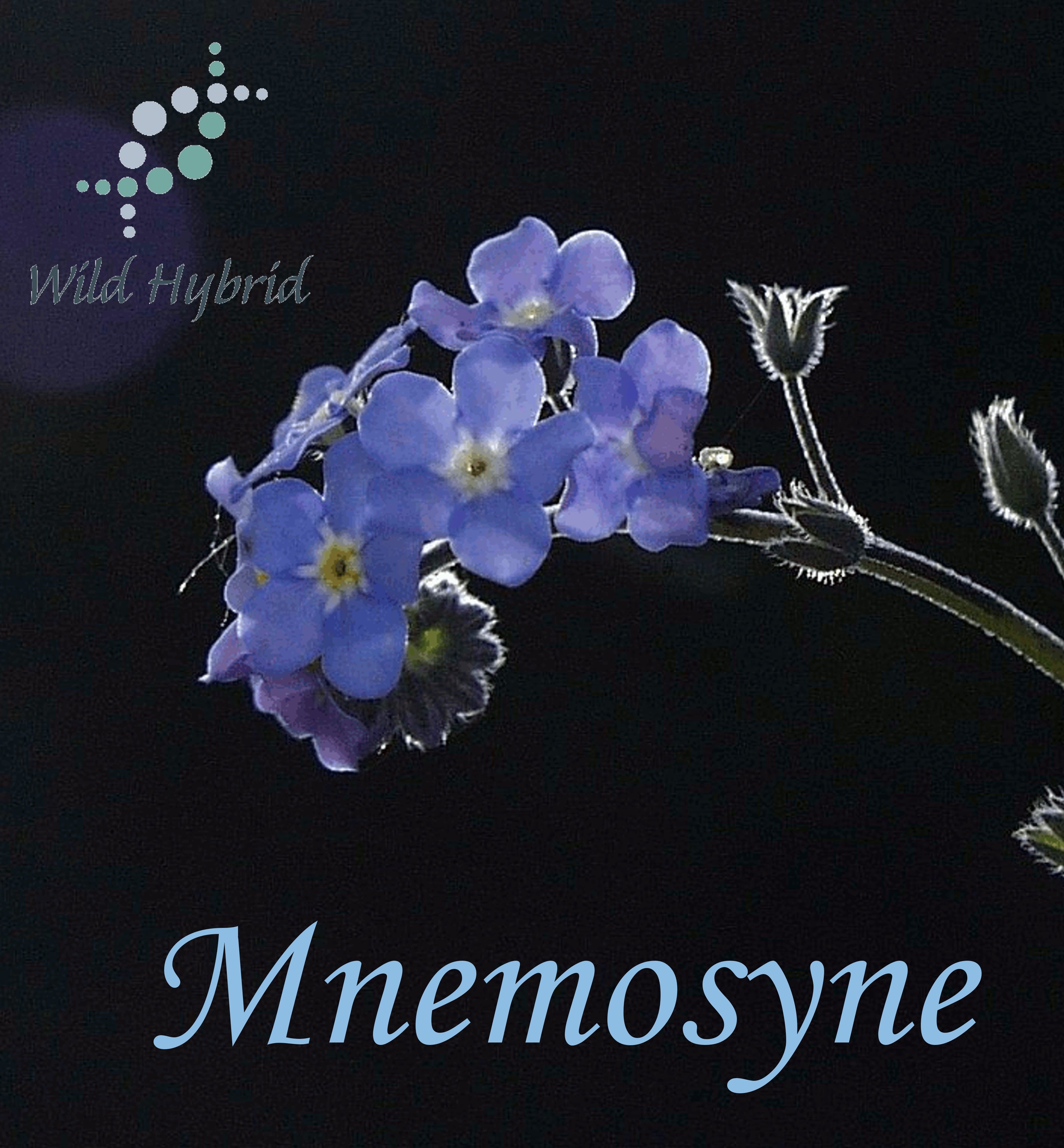 Mnemosyne 5ml - Lavender, jasmine, lime, tomato leaf, moonflower and a dribble of cinnamon.