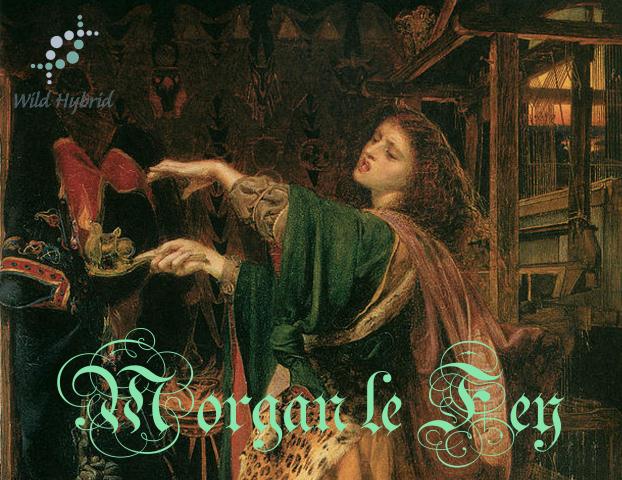 Morgan le Fey 5ml - Rose de Mai, amber, incense, angelica root, broom, wild heather and black pepper.