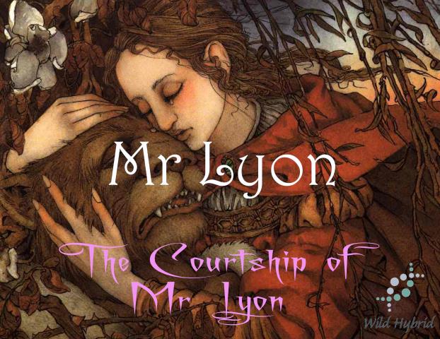 Mr Lyon 5ml - Amber, winter dead grass and twigs, dark musk and a drift of snow