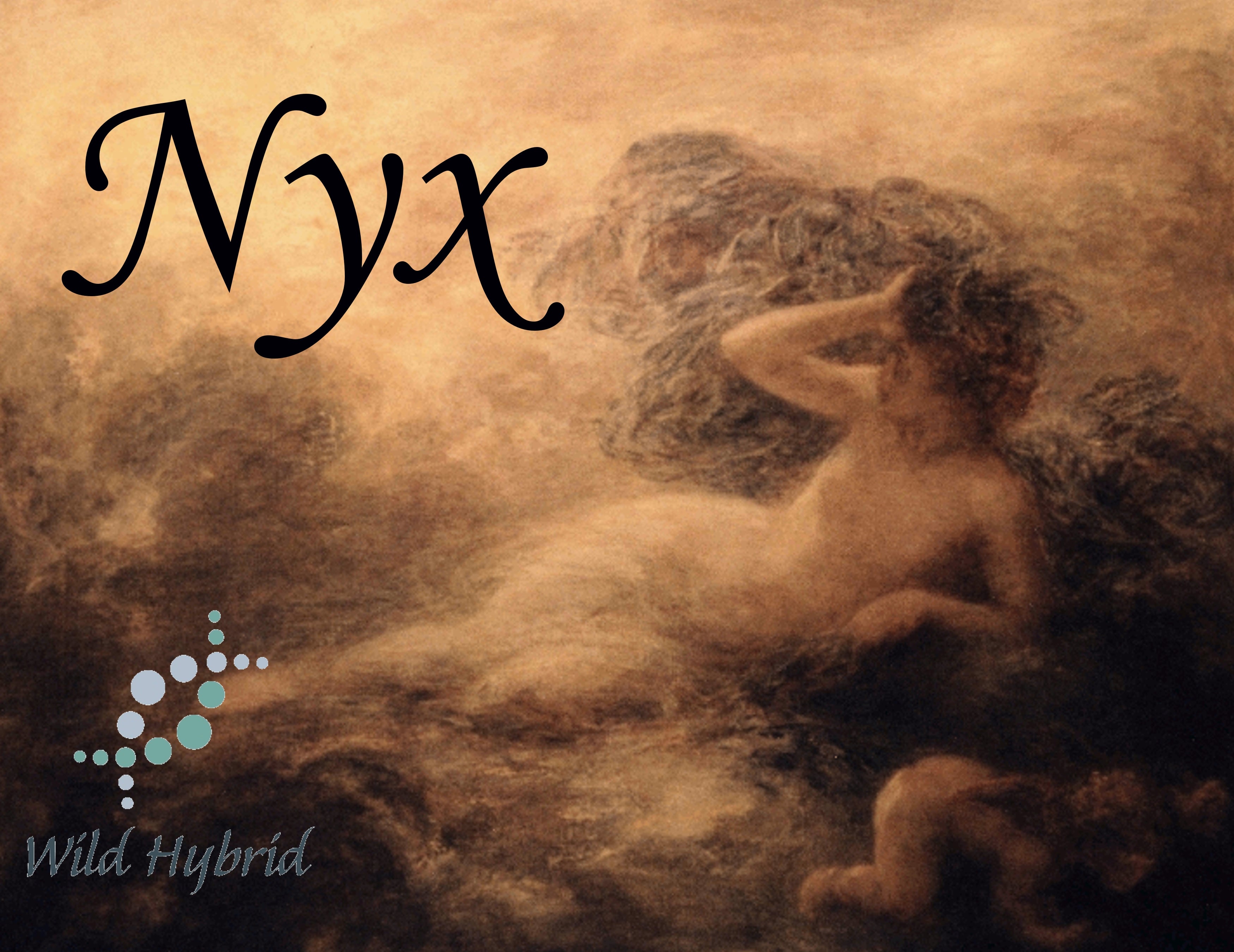 Nyx 5ml - Lavender, two musks, blueberry, lilac, coconut and a touch of sugared vanilla.