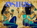 Osiris 5ml - Pomegranate, honey, smoked wood, crystalline musk and exotic blooms.