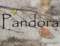 Pandora 5ml - Nine precious woods, dark vetiver, rosemary flower and wild weeds, glistening honey, almond, orange and jasmine.