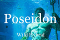 Poseidon 5ml - Ocean water, jasmine grandiflorum, Australian blue cypress, basil, lemon, ambrette and blue musk.