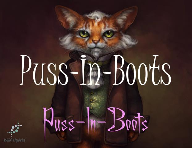 Puss-In-Boots 5ml - Orange, leather, cinnamon, myrtle and tonka