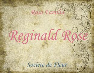 Reginald Rose 5ml - Rose, aged leather, frankincense, ginger and aged, bleached wood.