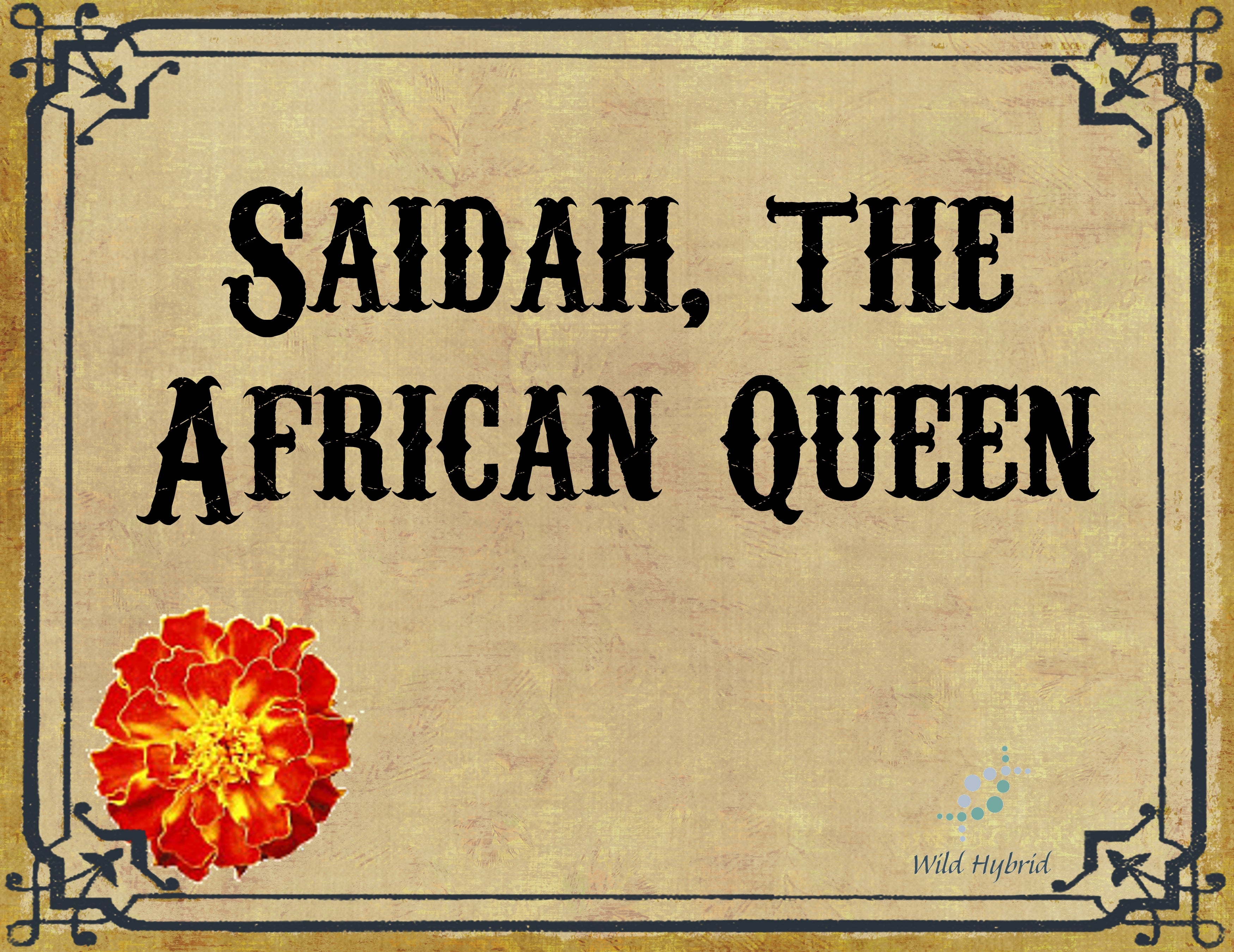 Saidah, the African Queen 5ml - Sweet coffee, cactus flower, African marigold, cassia, vetiver and cabreuva.
