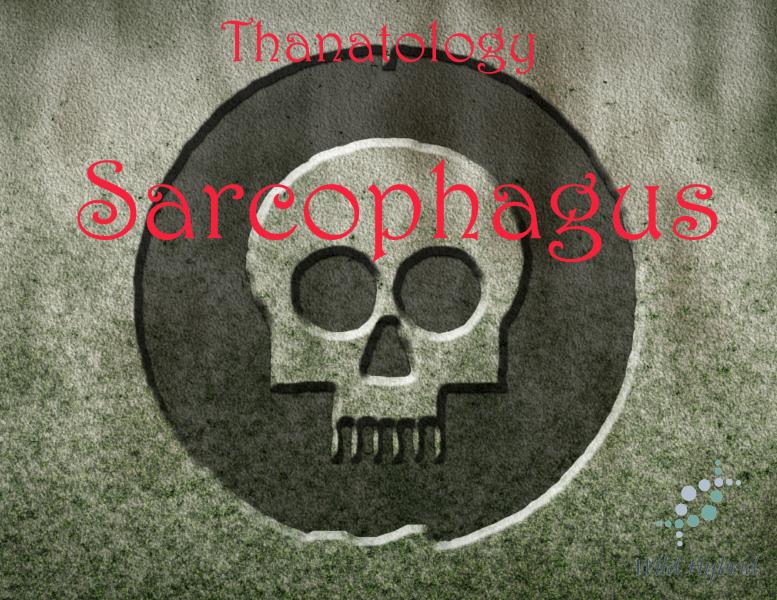 Sarcophagus 5ml - Thick dust, hops, Egyptian musk, lavender, oudh, frankincense, aged wood, opopanax, saffron, vanilla and rose.