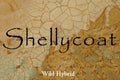 Shellycoat 5ml A seashell coat, brittle driftwood, blackberries, pine, yarrow, pennyroyal and parsley