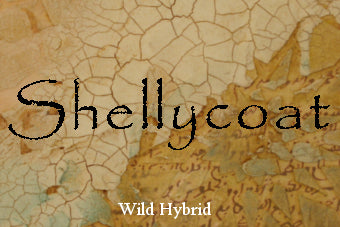 Shellycoat 5ml A seashell coat, brittle driftwood, blackberries, pine, yarrow, pennyroyal and parsley