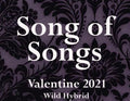 Song of Songs 5ml Merlot, spikenard, white violet, cashmere musk, oakmoss, orchid and teak.