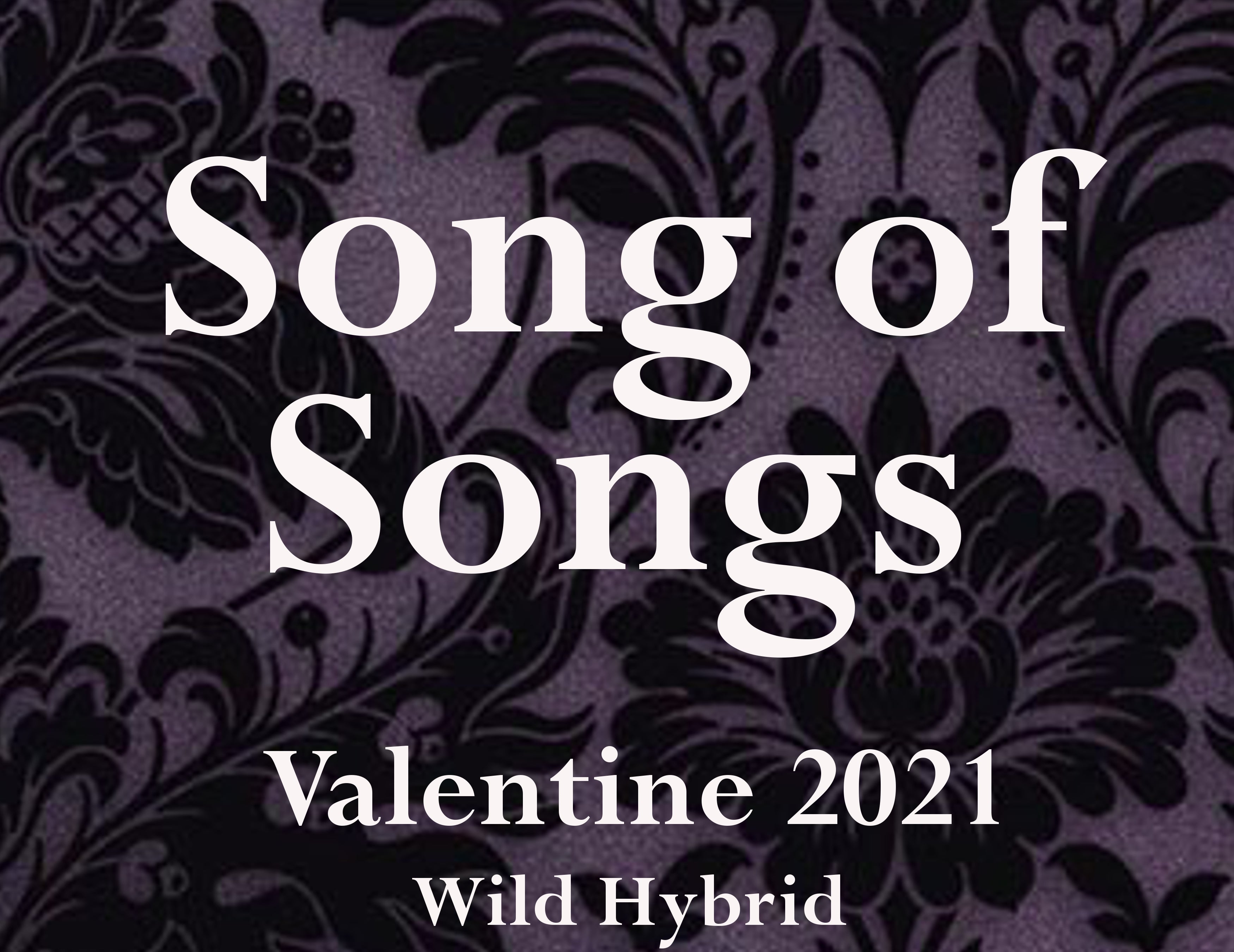 Song of Songs 5ml Merlot, spikenard, white violet, cashmere musk, oakmoss, orchid and teak.