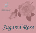 Sugared Rose 5ml - Roses dusted with vanilla sugar, Mysore sandalwood and a drop of red musk.