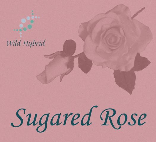 Sugared Rose 5ml - Roses dusted with vanilla sugar, Mysore sandalwood and a drop of red musk.