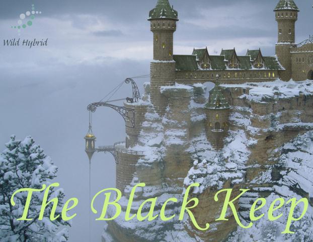 The Black Keep 5ml - Stone spotted with tenacious black lichens, blue alpine tussock and a dusting of snow
