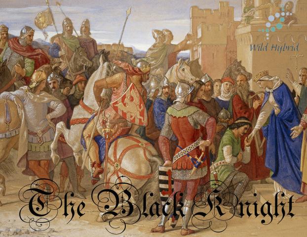 The Black Knight 5ml - Bourbon vetiver, narcissus absolute, incense, calamus, tonka, teak, black agar and a drop of cinnamon.